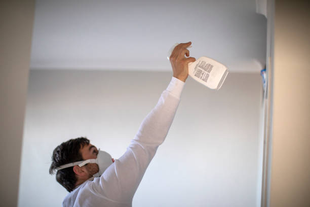 Best Crawl Space Mold Removal  in Clyde, OH