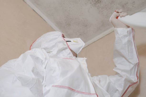 Best Certified Mold Removal  in Clyde, OH
